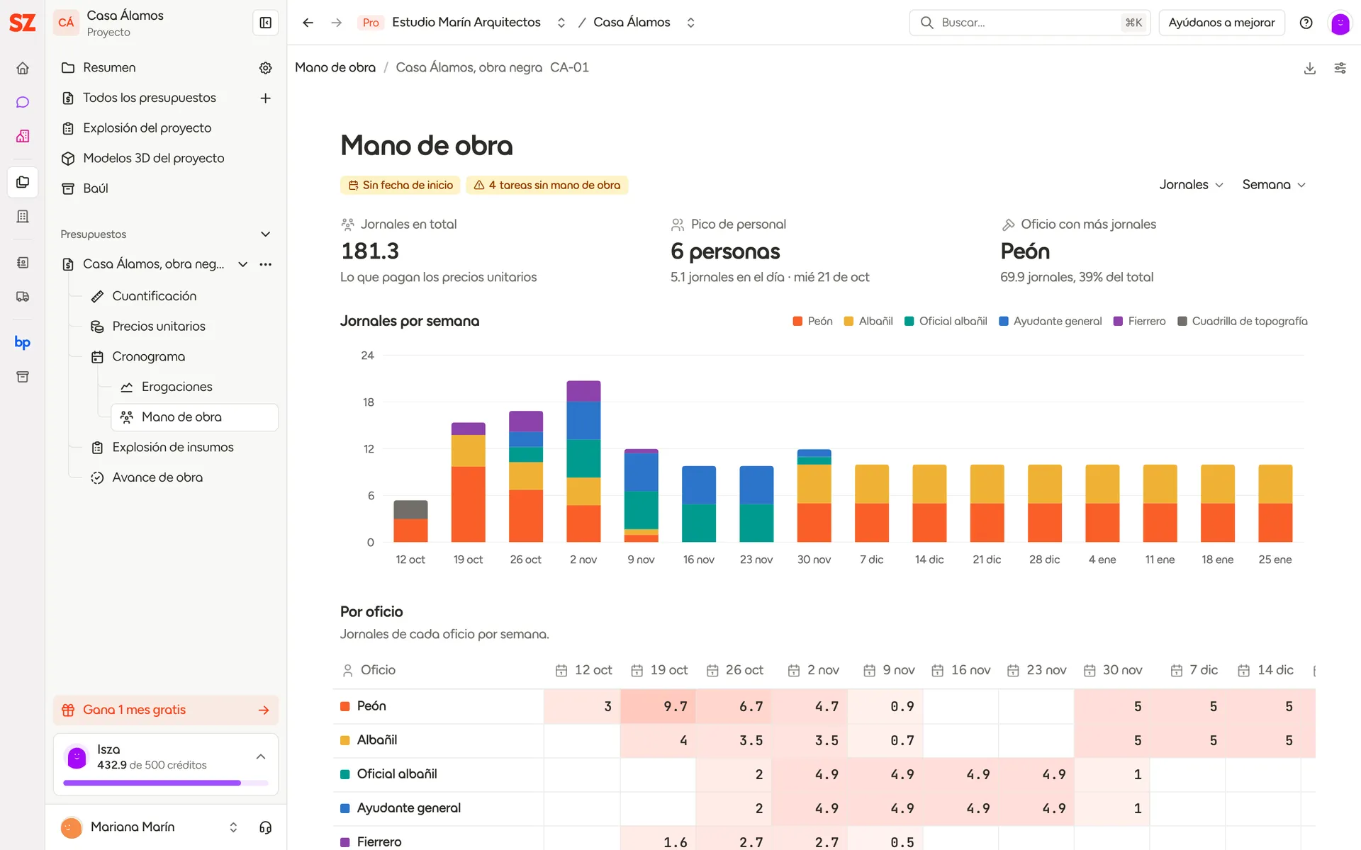 Programa de mano de obra